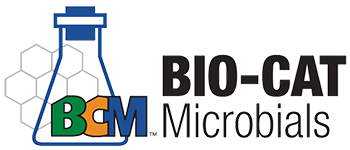 Bentoli Logo